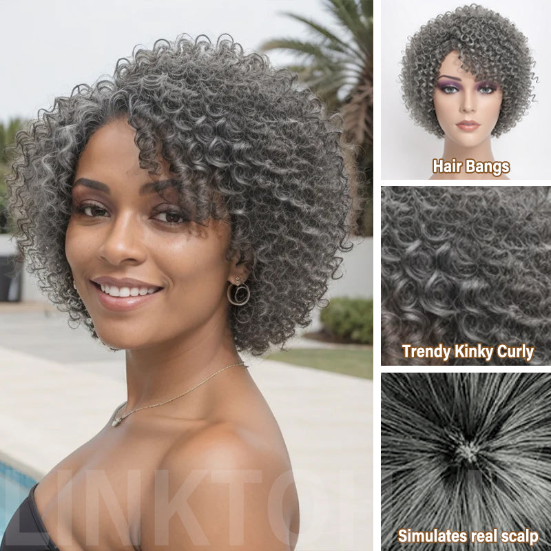 Salt And Pepper Glueless Kinky Curly Wigs Human Hair Wigs For Black Wo Linktohair 6770